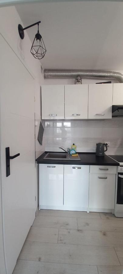 Wiktoria Apartment Бялисток Екстериор снимка